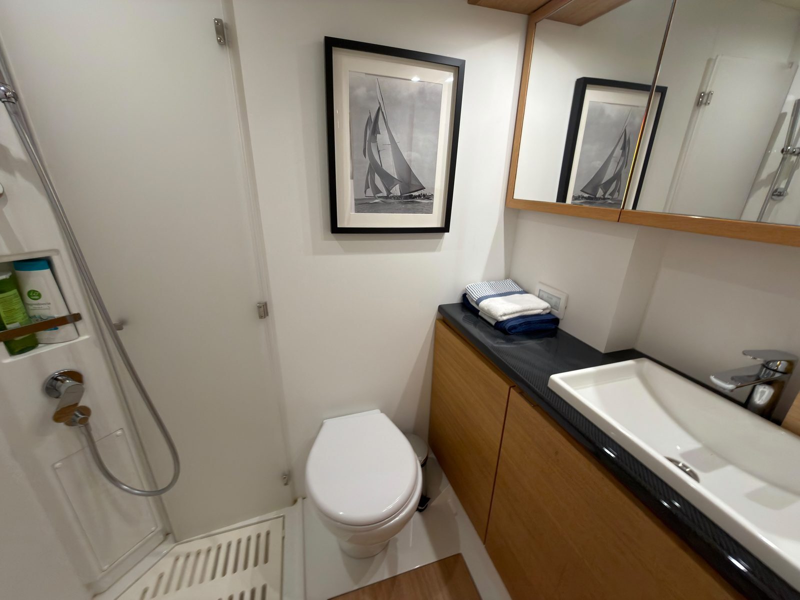 Badkamer met douche van de Solaris 50