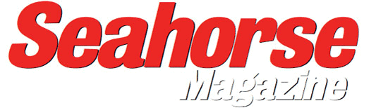 Seahorse magazine test de J/99